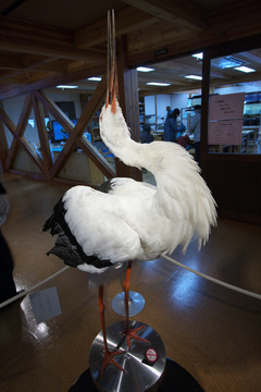 IMG_9994.jpg