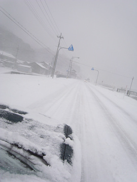 R0013239.jpg