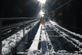 IMG_0019.gif