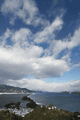 IMG_0048.gif