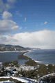 IMG_0095.gif