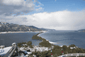 IMG_0100.gif