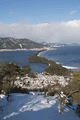 IMG_0124.gif