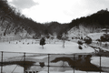 IMG_1778.gif
