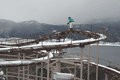 IMG_1788.gif