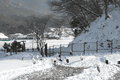 IMG_9919.gif
