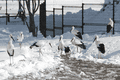 IMG_9923.gif
