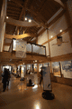 IMG_9987.gif