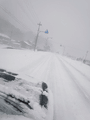 R0013239.gif