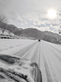R0013244.gif