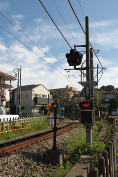 IMG_3276.jpg