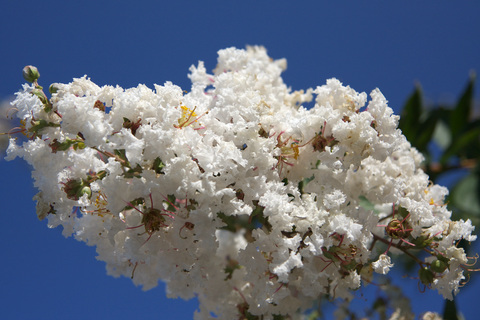 IMG_6685.jpg