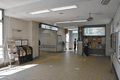 IMG_6496.gif