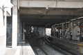 IMG_6499.gif