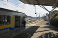 IMG_6531.gif