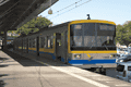 IMG_6544.gif