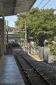 IMG_6553.gif