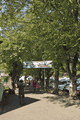 IMG_6575.gif