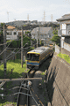 IMG_6652.gif