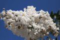 IMG_6685.gif