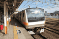 IMG_6715.gif