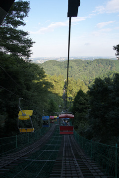 IMG_6773.jpg
