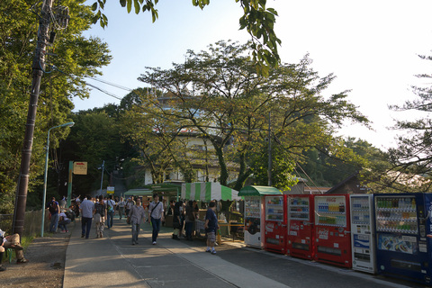 IMG_6788.jpg