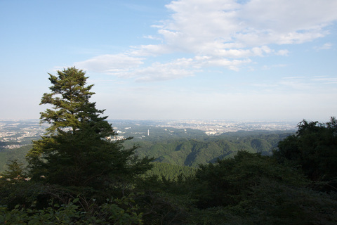 IMG_6789.jpg