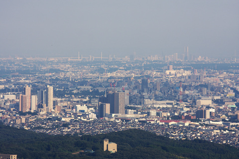 IMG_6821.jpg