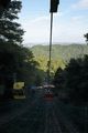 IMG_6773.gif