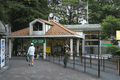 IMG_6786.gif