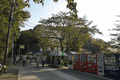 IMG_6788.gif