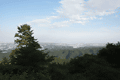 IMG_6789.gif