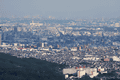 IMG_6798.gif