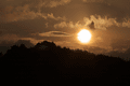 IMG_6845.gif