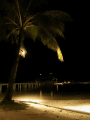 夜の桟橋