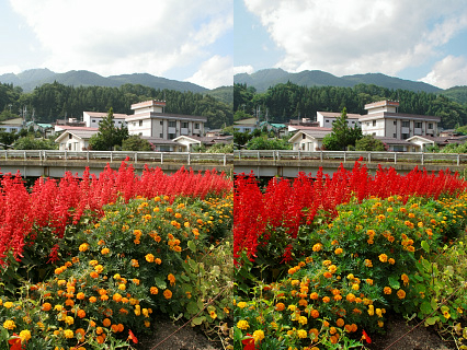 左が「カメラが現像したJPEG」、右が「SilkyPix2での現像結果」
