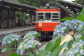 箱根登山電車110