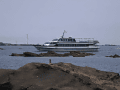 観光船1