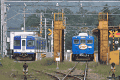 富士急1302とトーマス列車