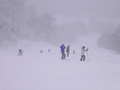 雪＋濃霧スキー