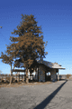 木のある駅