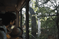 モノレール車窓風景